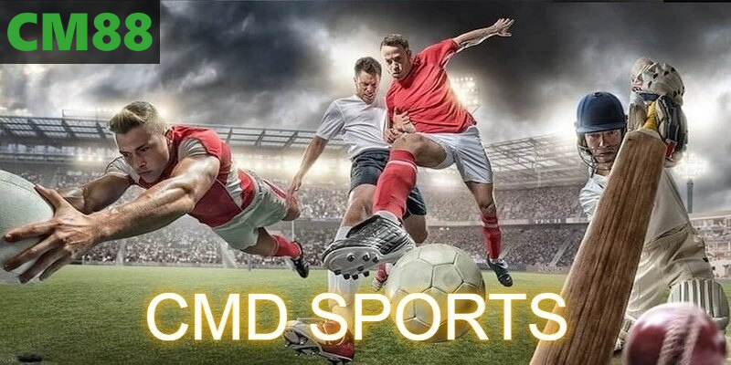Tổng quan về CMD thể thao
